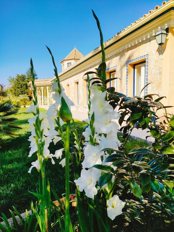 Villa Quinta Do Bamby Leiria Exterior foto